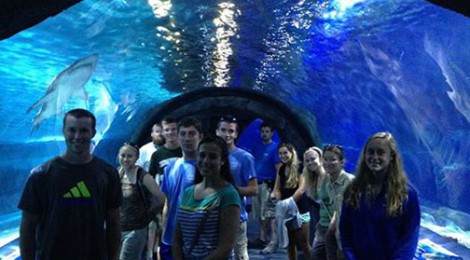 Biology Field Station summer interns get a behind-the-scenes tour of the Newport Aquarium and discuss joint research projects for the coming year.