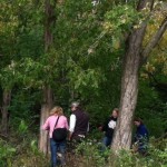 High school teachers exploring a nearby woodland and sampling leaves of the invasive species Amur maackii to test photosynthetic hypotheses
