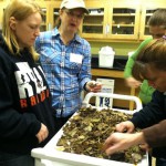 In a session with Dr. Shannon Galbraith-Kent (Thomas More College, Biological Sciences), high school teachers experience first-hand the “5Es” with regards to a leaf litter decomposition activity that compares two different forest communities.