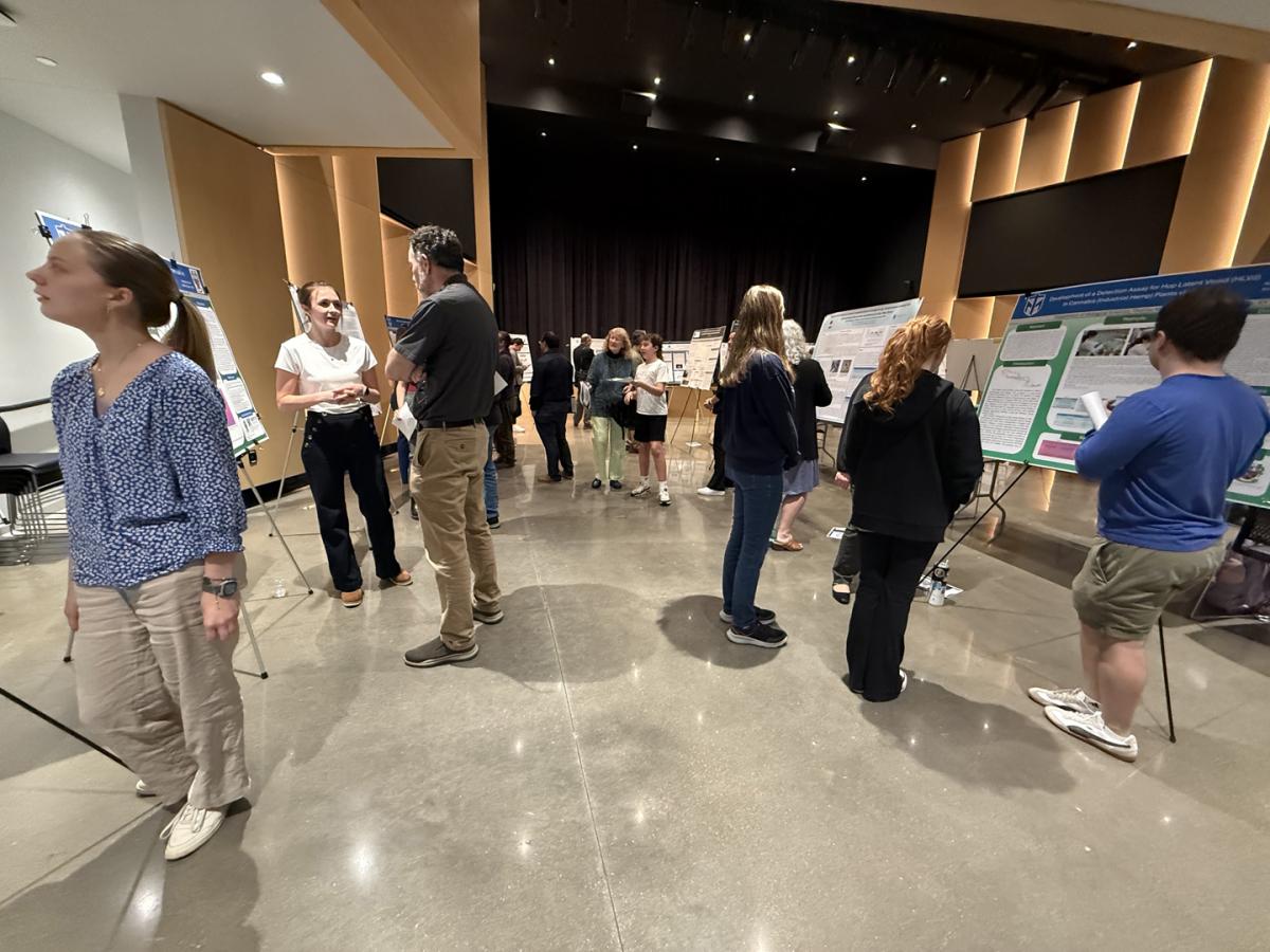 Students present their research at the 2025 Research Forum